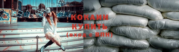 гашик Липки