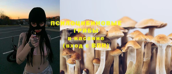 ешки Лабытнанги
