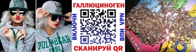 ссылка на мегу маркетплейс  Бавлы  Псилоцибиновые грибы ЛСД 